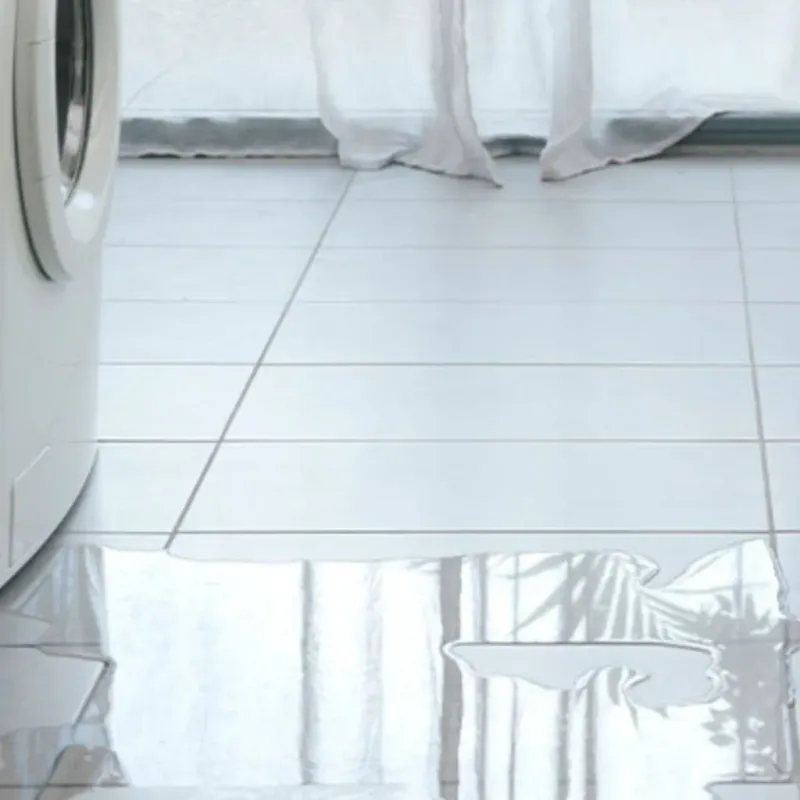 Appliance Leak Cleanup in Port Townsend, WA