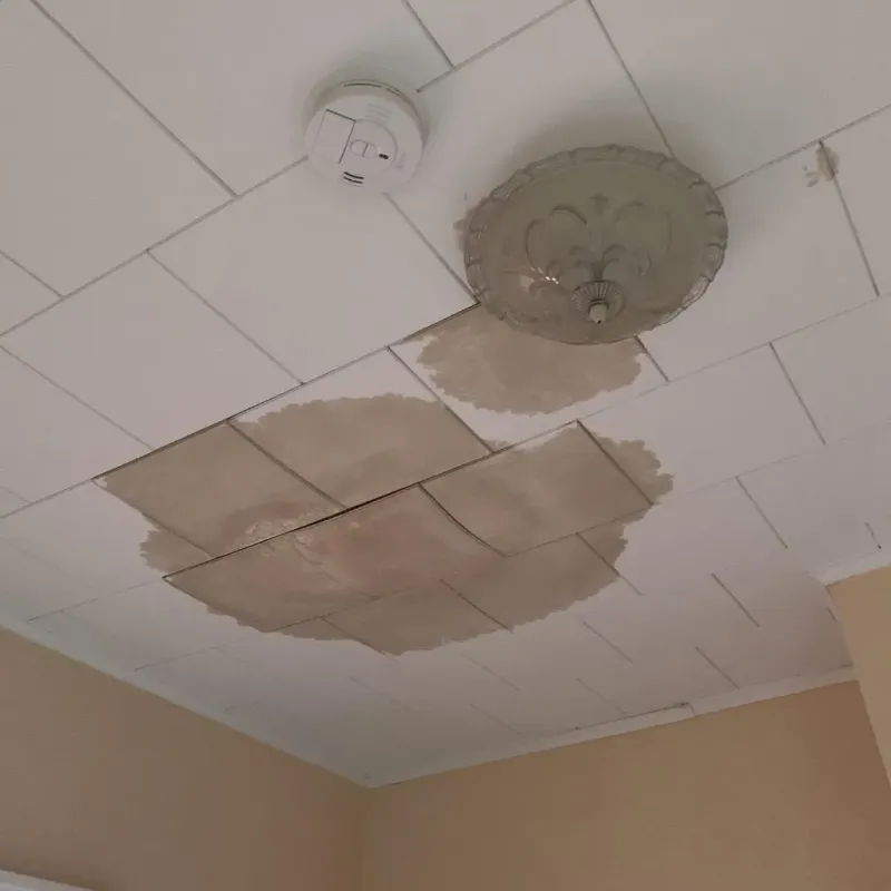 Ceiling Water Damage Repair in Port Townsend, WA