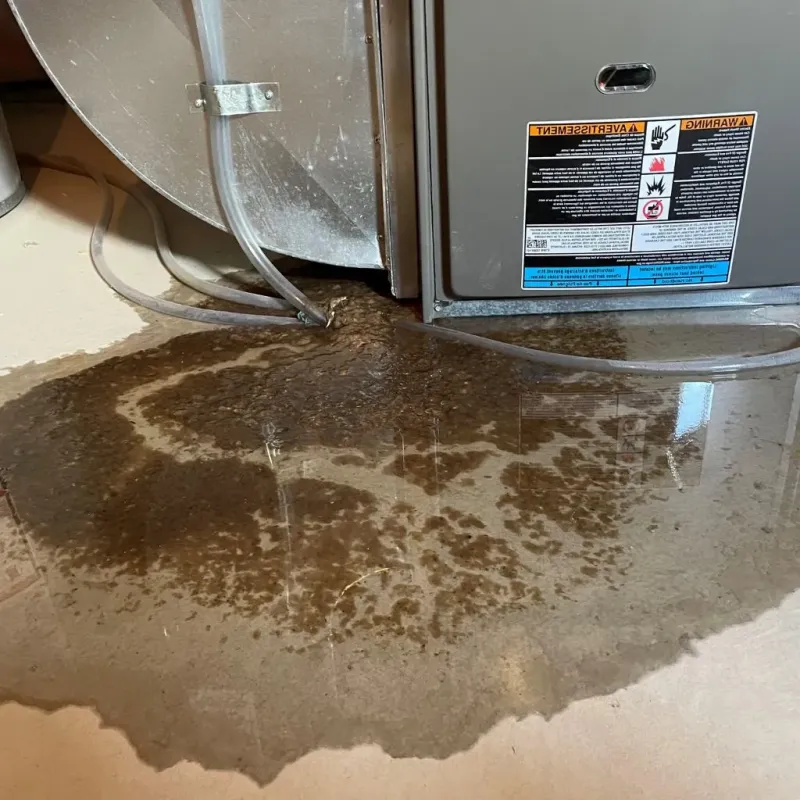 Pipe Burst and Leak Restoration in Port Townsend, WA